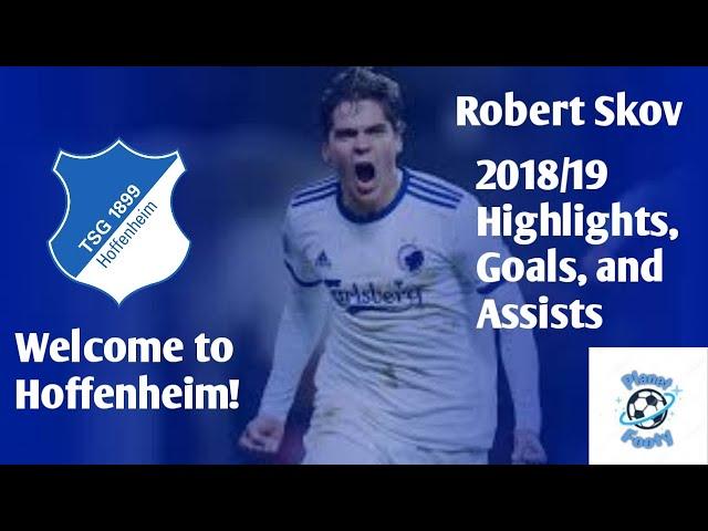 Robert Skov - Welcome to Hoffenheim: 2018/19 Best Highlights