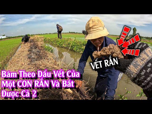 Bám theo DẤU của một CON RẮN kết quả được 2 | TGSB #1026