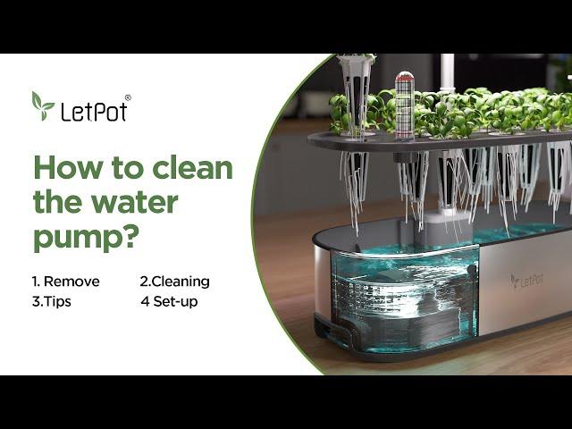 How to clean water pump for LetPot senior Hydroponics