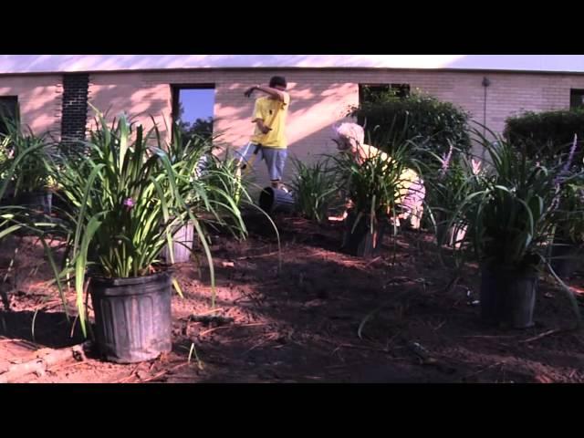 Landscape Construction at Trident Technical College