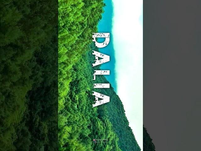 Name-ART-Dalia-Status-Video-Alight-Motion#nameart#statusvideo#alight_motion#imeditor#shrots#viral