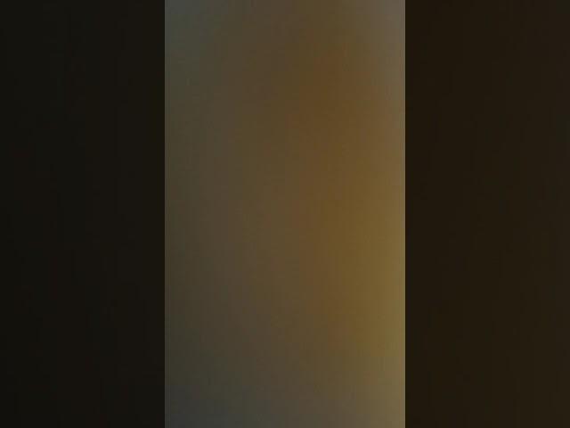 오키도키 일반인라이브