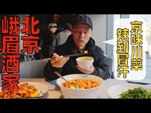 Chef Wang's food tour: the famous Sichuan cuisine place in Beijing 北京“峨眉酒家”，北京川菜老字号，川菜新味辣度不低【王刚探店】