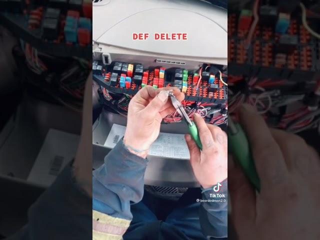 dpf delete tips