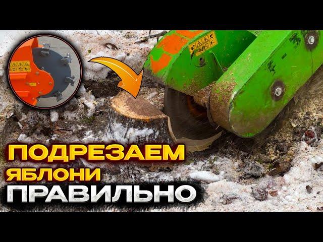 НАВЕЛИ КРАСОТУ НА УЧАСТКЕ | КАК УБРАТЬ ПЕНЬ ОТ ДЕРЕВА | @dismantling-LK