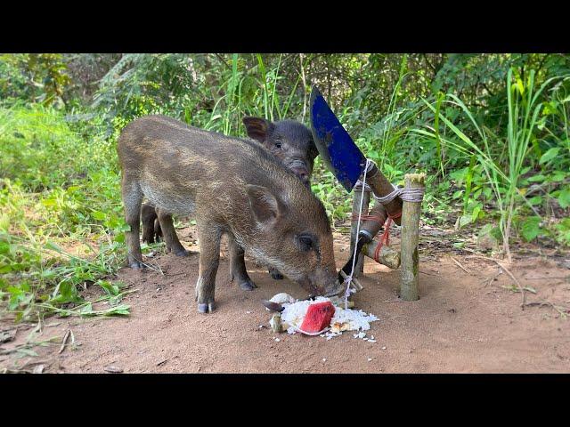 Creative Unique Wild Pig Trap Using  Big knife And wood New Technique That Work 100% #wildanimals