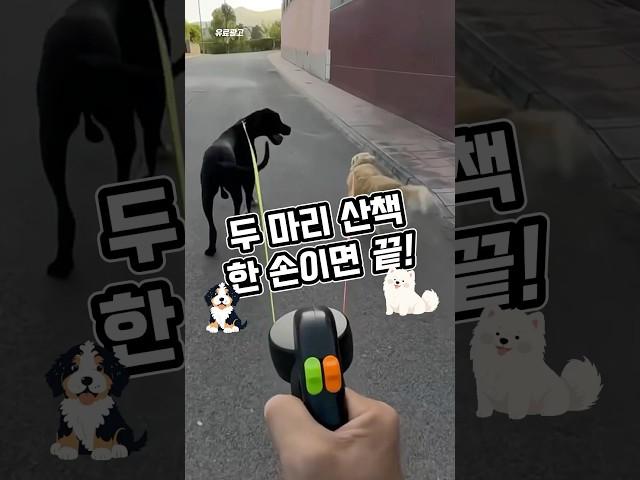 산책이 이렇게 쉬웠어? 견주들 사이에서 난리난 이유… 이거였어?!️#강아지산책 #듀얼리드줄 #두마리산책 #신박템 #꿀템 #shorts