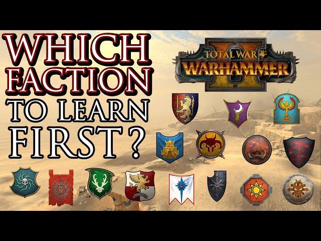 Which FACTION to play & learn FIRST? - Warhammer 2