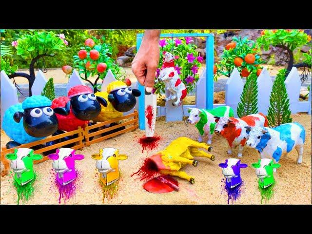 wadidau ‼️ proses potong sapi kurban | new cow video | new cow vlog | kerbau 87 | falak toys