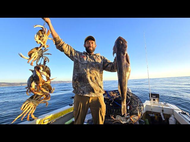 Sunup to Sundown HUGE Fish (PB!) and Limits of Dungeness Crab '24-'25 Season