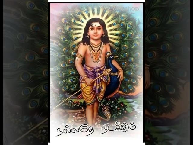 திருமதி சித்ரா நாகராஜன் அவர்களின் திருப்புகழ் சமர்ப்பணம்