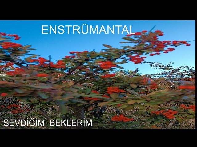 Sevdiğimi Beklerim Enstrümantal