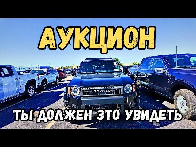 Аукцион целых машин | где можно купить все дешевле рынка