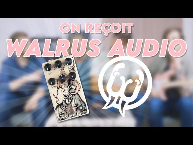 Les FONDATEURS DE @walrusaudioeffects vous présentent la EONS et quelques anecdotes...