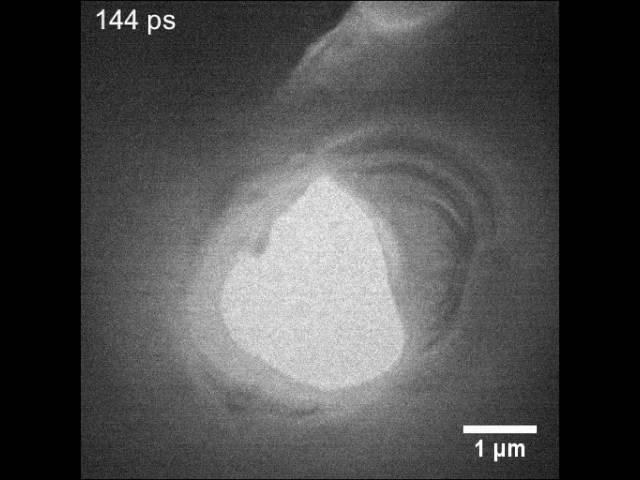 Specimen morphology influences phonon propagation in germanium (UEM)