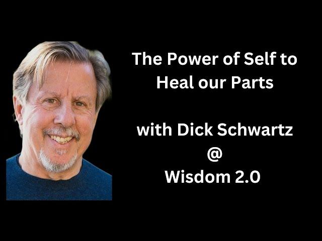 The Power of Self to Heal Our Parts | Richard Schwartz, Soren Gordhamer | Wisdom 2.0 2017