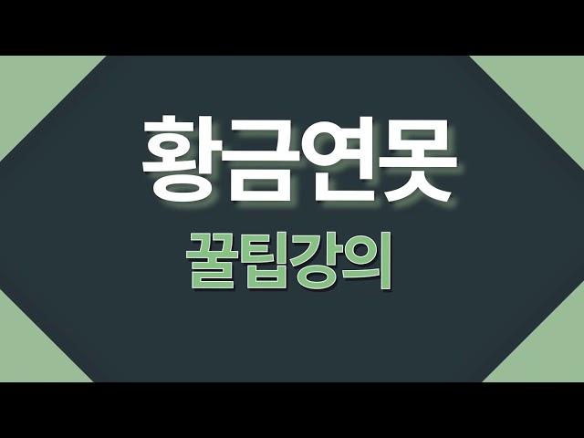 [아덴-황금연못] 트레이딩 세팅의기술, 지표활용법