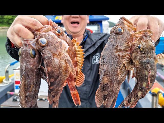 The most delicious sea fishing fish in Korea! Eating like this is the best!