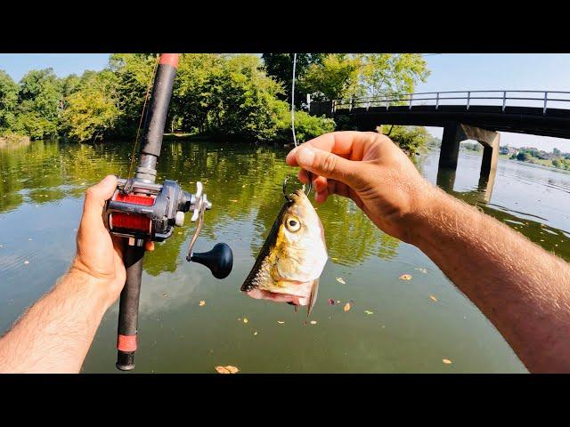 4 Hours of RAW and UNCUT Kayak Catfishing on Fort Loudon Reservoir