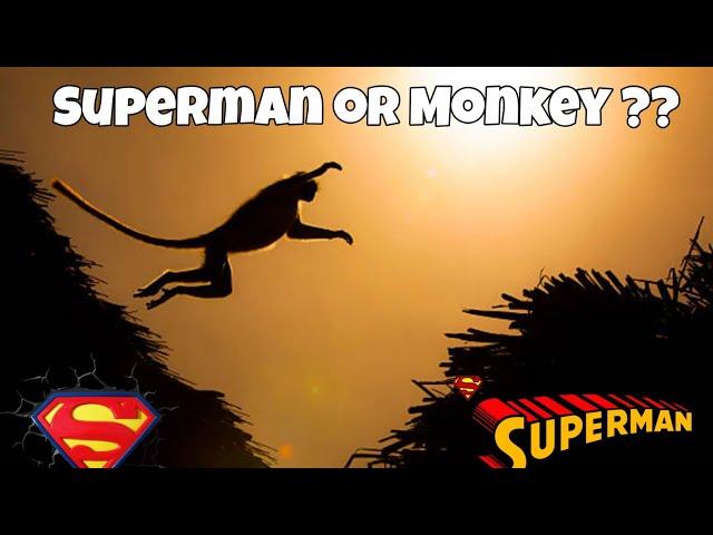 Superman Jump From Monkey