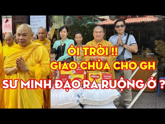 Ôi Trời ! Sư Minh Đạo ra ruộng ở ? quá xót xa !! #thichchanquang #thichminhtue