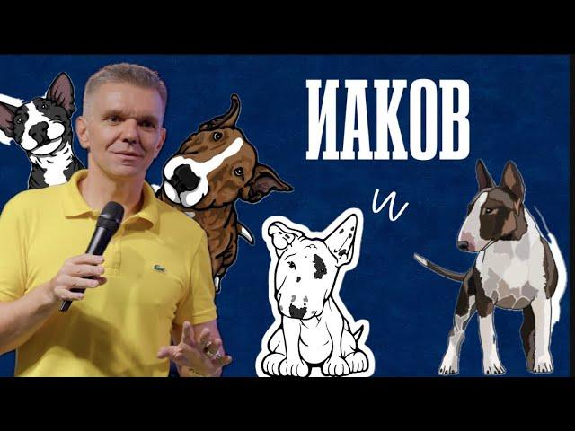 Иаков и бультерьеры | Денис Швидко