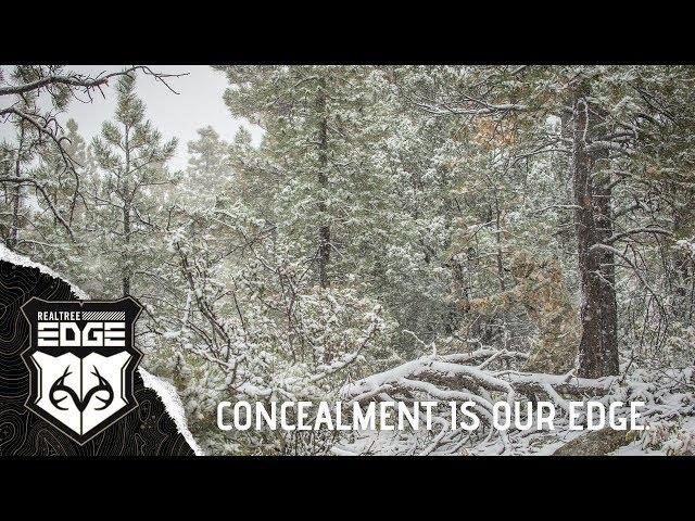 Realtree EDGE: New Camouflage Allows You To Effectively Dominate Geographic Elements