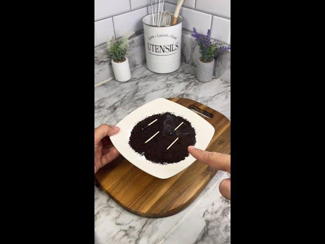 Mosquitoes Gone Instantly With This Simple Plate Trick!