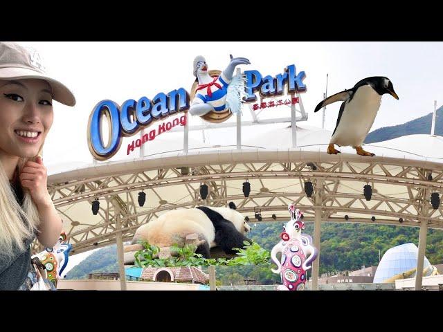 why you must visit ocean park hong kong