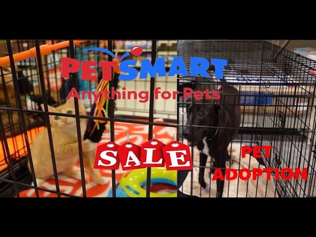 PetSmart Dog Adoption and Sale