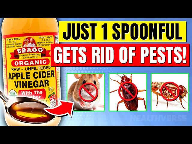 9 APPLE CIDER VINEGAR Hacks To Get Cockroaches, Mice, Fleas & Pests From Your Home NATURALLY