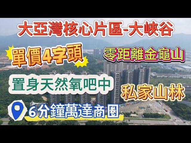 超特價單位【大亞灣中心區-大峽谷】惠陽唯一私家山林小區 | 6分鐘可達萬達廣場 落樓巴士直達沙田站 | 金龜山林零距離 置身天然氧吧中 負氧離子爆棚#惠州筍盘 #惠州 #大亚湾