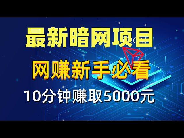 网络赚钱项目|暗网 网赚 灰产项目|赚钱 非常简单，五分钟教你真实 网赚 灰产 跑分 流程（2023最新版暗网 赚钱 网赚 项目）