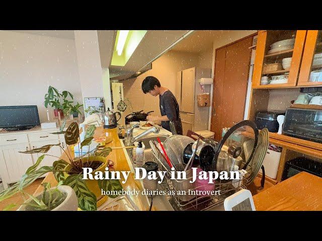 Cozy rainy day in Japan  Making Japan's most loved home dish, Introvert's outing, Playing Switch 