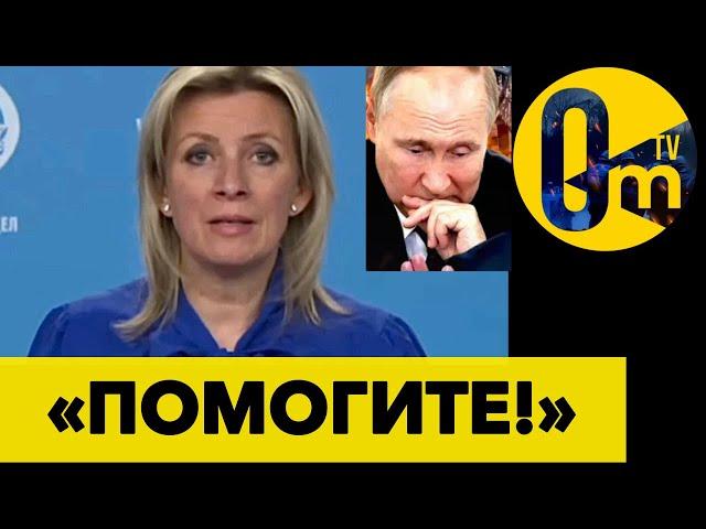 «ЗАПАД, ОСТАНОВИ УКРАИНУ!»