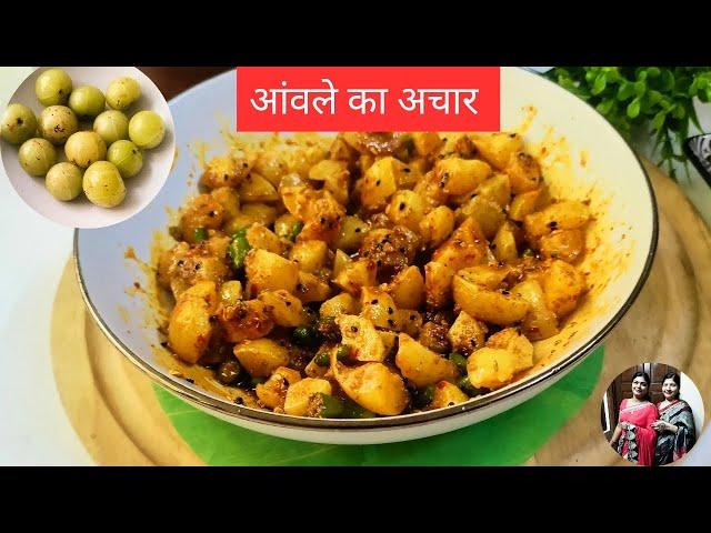 सेहत का खजाना आंवले का अचार || Amla Pickle Easy Recipe || #sandhyarashmi #shorts