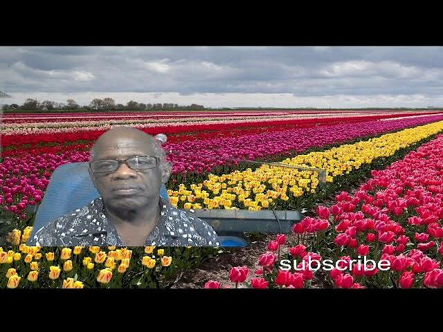 THE STORM, THE MONTE CAGLE YOUTUBE CHANNEL