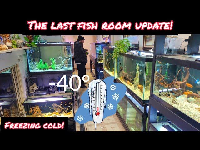 MY LAST FISH ROOM UPDATE OF 2022! SHOWING ALL MY AQUARIUMS