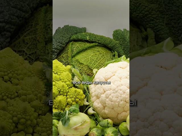 Просто ЕШЬ ЭТИ ПРОДУКТЫ и ты ПОХУДЕЕШЬ! Секрет похудения ГОЛЛИВУДСКИХ ЗВЕЗД! Никаких диет #диетолог