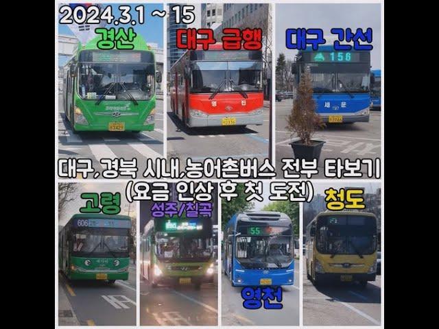 2024년 3월 2주동안 대구시내에 들어오는 시내,농어촌버스 32개 업체 전부 타보기 도전 (요금 인상 후),(2023.3.1 ~ 3.15) #대구버스 #경산버스 #성주버스