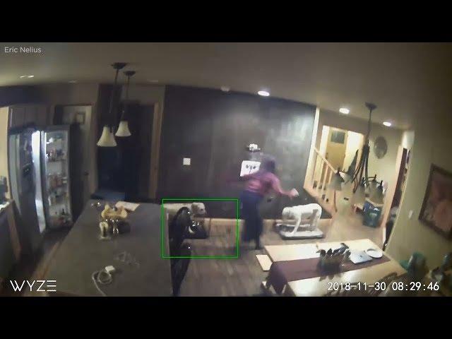 Alaska earthquake caught on home surveillance video