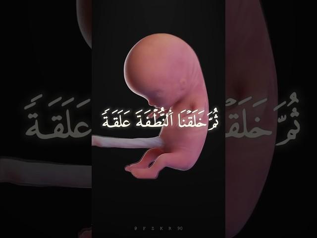 ياسر الدوسري [المؤمنون ١٣-١٤]