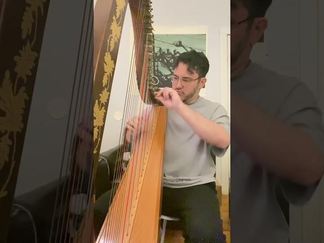 “Peonies for Dita” original harp composition performed by Eric Doce/Hamburger Helpless