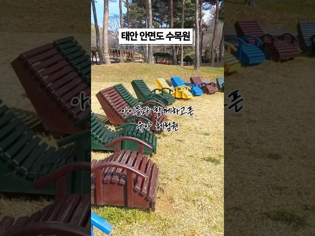 화려한 봄에 어울리는 태안 안면도 수목원#여행 #서해가볼만한곳 #travel #Anmyeondo #태안 #안면도수목원 #태안가볼만한곳 #안면도가볼만한곳