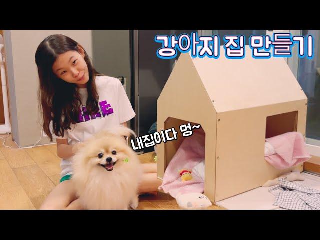 라임의 강아지 집 만들기 DIY LimeTube