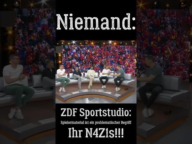 Ich hoffe doch inständig das ZDF hat dann keine HR Abteilung  #memes #uefaeuro2024 #shorts #afd