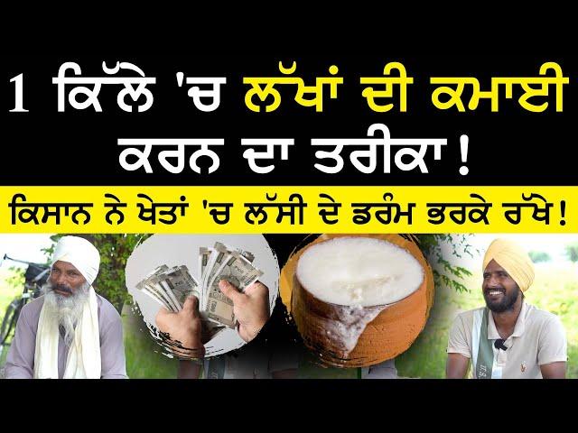 1 ਕਿੱਲੇ 'ਚ ਲੱਖਾਂ ਦੀ ਕਮਾਈ ਕਰਨ ਦਾ ਤਰੀਕਾ ! Organic Farming | Khetibadi | Kudrati kheti | sabji | Sirlek