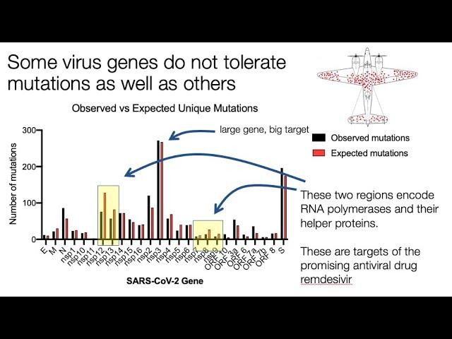 The ongoing evolution of SARS-CoV-2