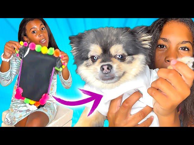 DIY Halloween Pet Costumes!