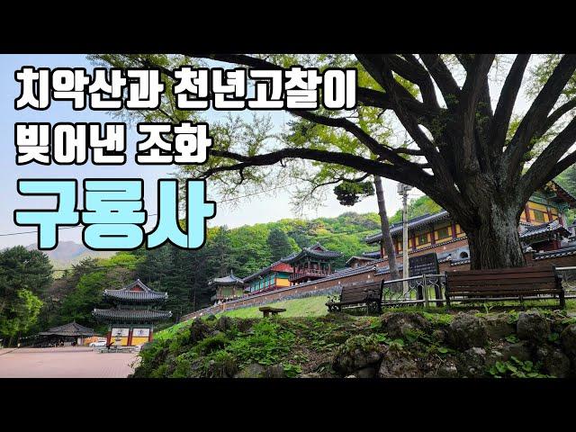 치악산과 천년 고찰이 빚어낸 조화, 구룡사 [좋은절 #27/ 강원도사찰/ 원주가볼만한곳]